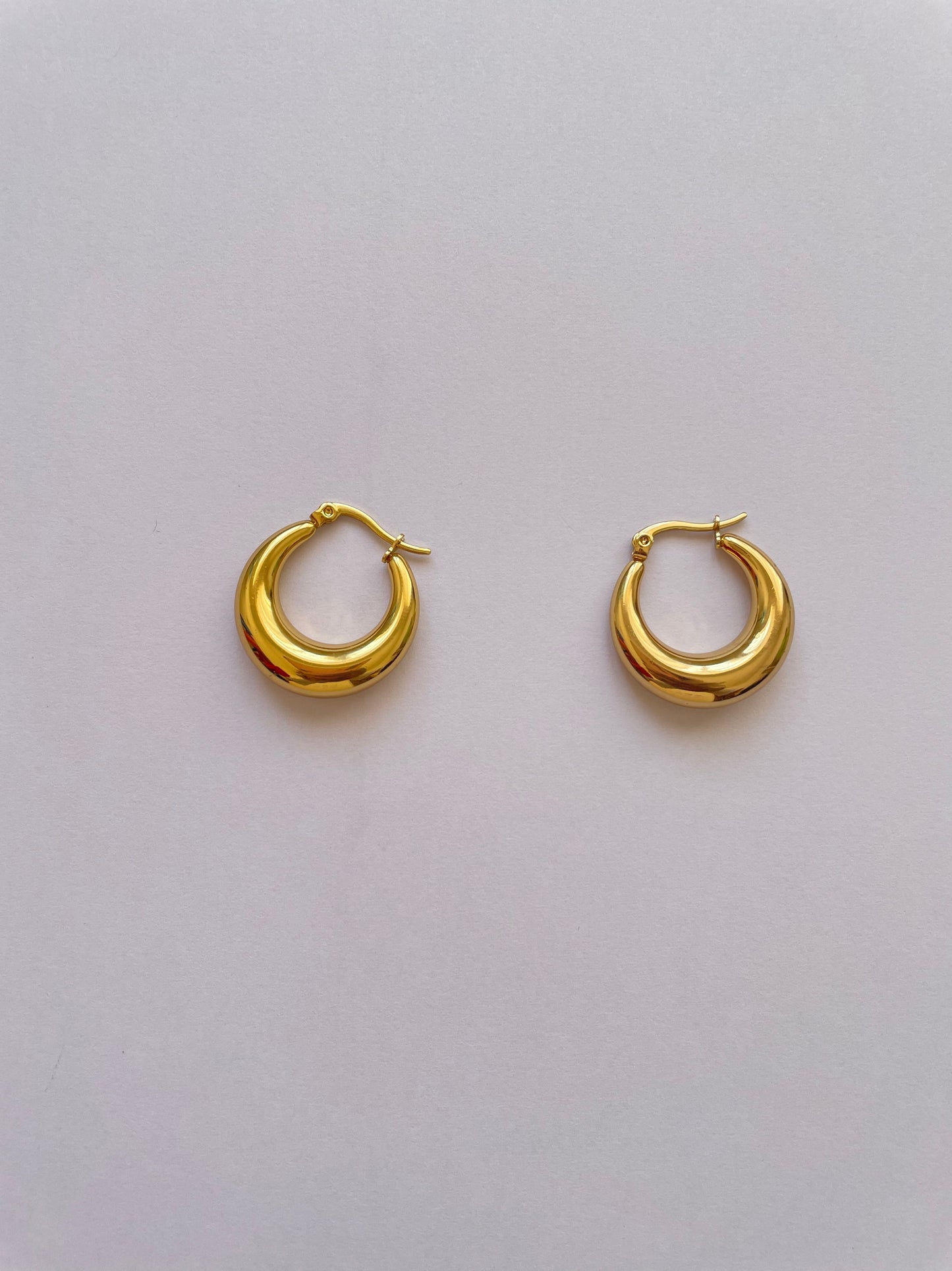 Amanda Hoops