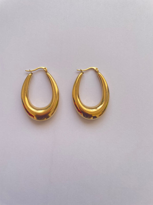 Hloni Hoops