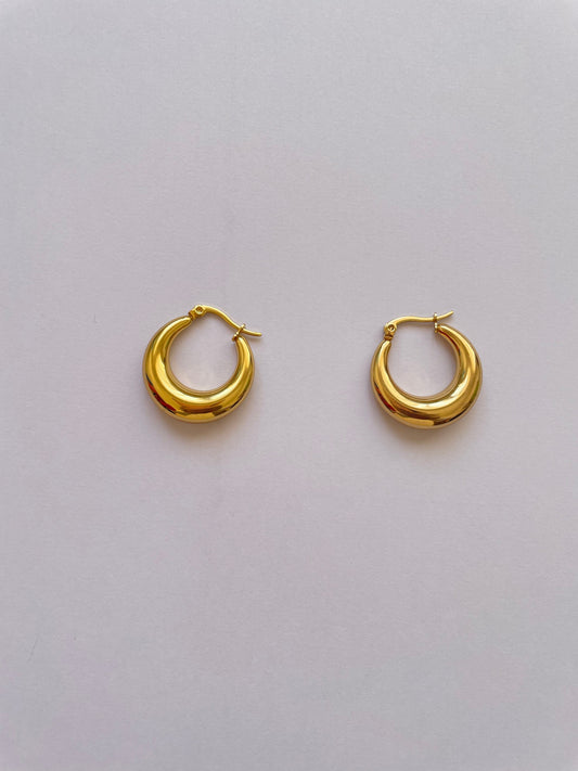 Amanda Hoops